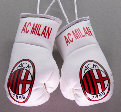 AC Milan Mini Boxing Gloves