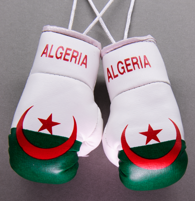 Algeria Boxing Gloves