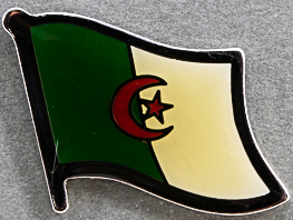 Algeria Flag Pin AFN