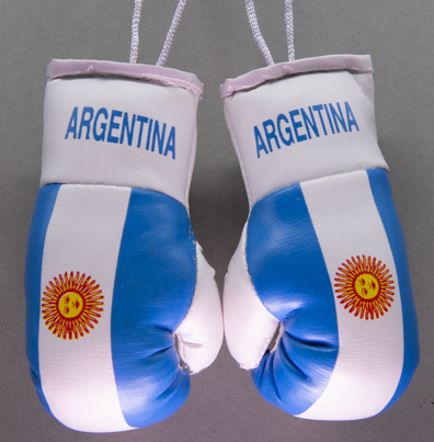 Argentina Mini Boxing Gloves