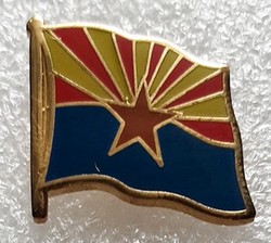 Arizona USA Lapel Pin