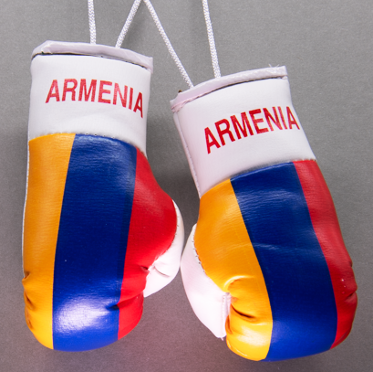 Armenia Mini Boxing Gloves
