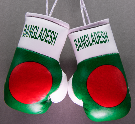 Bangladesh Mini Boxing Gloves