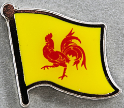Belgium WALLONIA Flag Pin