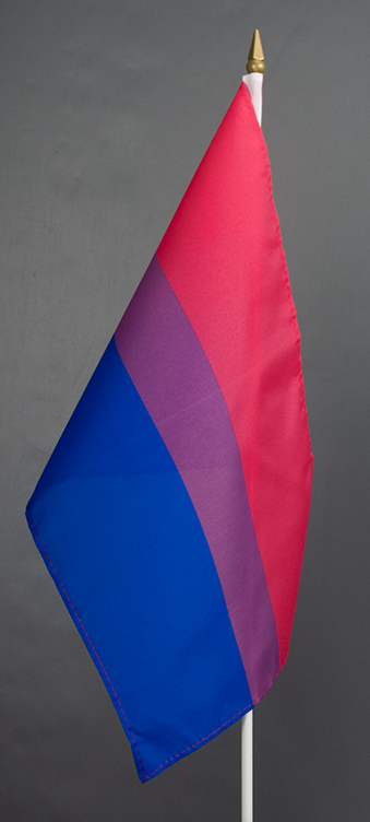 Bi-Pride Hand Waver Flag