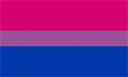 Bi-Pride Flag