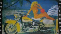 Bike with Blondine Flag