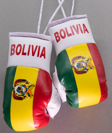 Bolivia Mini Boxing Gloves