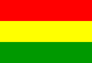 Bolivia no Emblem Flag