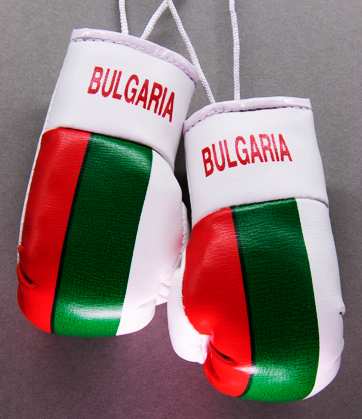 Bulgaria Mini Boxing Gloves