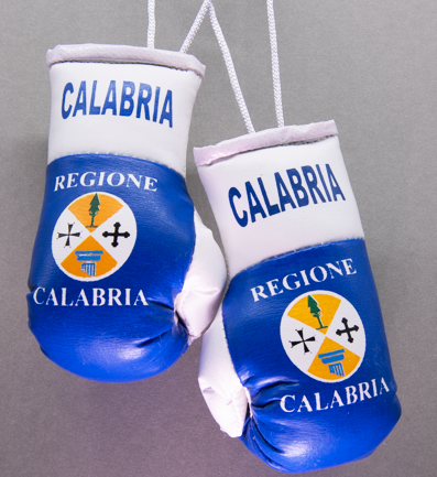 Calabria Mini Boxing Gloves