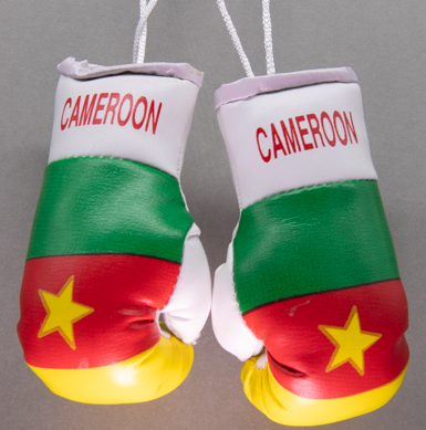Cameroon Mini Boxing Gloves