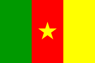 Cameroon Flag