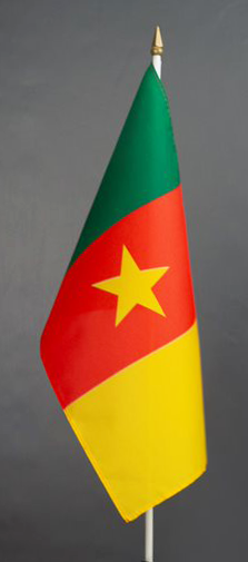 Cameroon Hand Held Flag