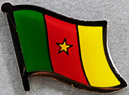Cameroon Flag Pin AFN