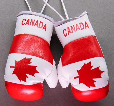 Canada Mini Boxing Gloves