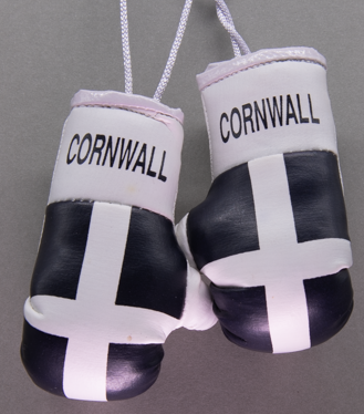 Cornwall Mini Boxing Gloves
