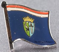 Sisak and Moslavina Lapel Pin