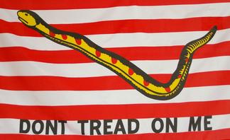 Dont Tread on Me Flag