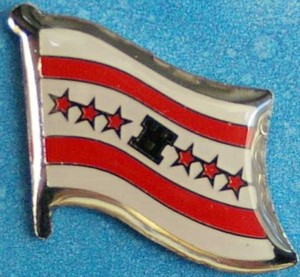 Drenthe Flag Pin - Netherlands