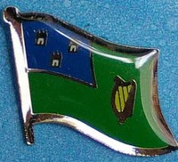 Dublin City Flag Pin Ireland