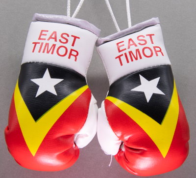East Timor Boxing Gloves