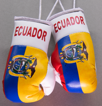 Ecuador Mini Boxing Gloves