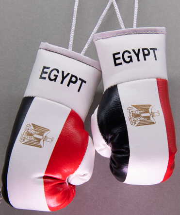 Egypt Mini Boxing Glove