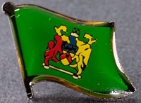 Staford Shire Flag Pin England