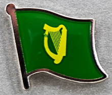 Dublin County Flag Pin Ireland