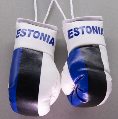 Estonia Mini Boxing Gloves