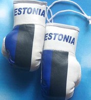 Estonia Mini Boxing Gloves
