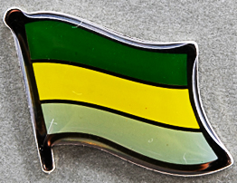 Gabon Flag Pin AFN