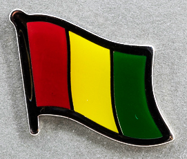Guinea Flag Pin AFN