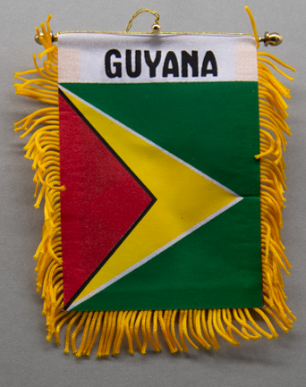 Guyana Mini Car Flag