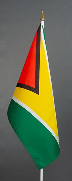 Guyana Hand Waver Flag