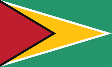 Guyana Flag