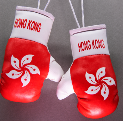 Hong Kong Mini Boxing Gloves