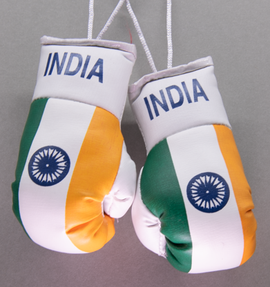 India Mini Boxing Gloves