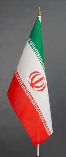 Iran Hand Waver Flag