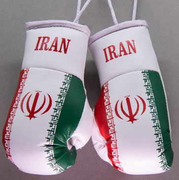 Iran Mini boxing Gloves
