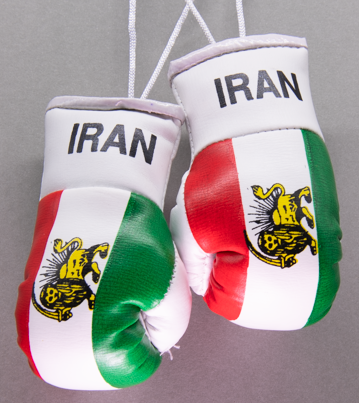 Iran Empire Mini Boxing Gloves