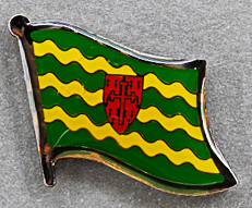 Donegal Lapel Pin