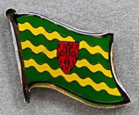 Donegal Lapel Pin