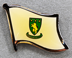 Laois Flag Pin Ireland