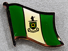Limerick Flag Pin Ireland