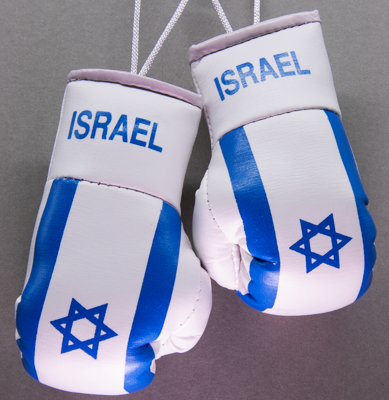 Israel Mini Boxing Gloves