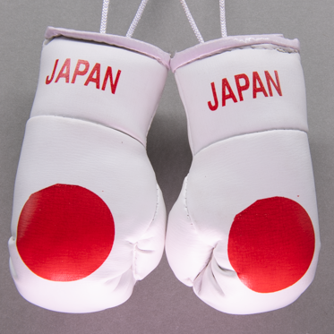 Japan Mini Boxing Gloves