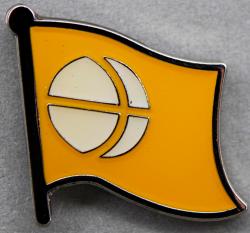 Nagano Flag Pin