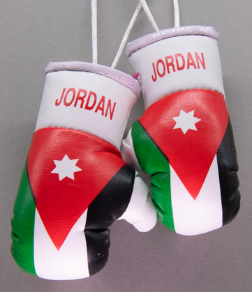 Jordan Mini Boxing Gloves